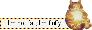 I'm not fat, I'm fluffy!